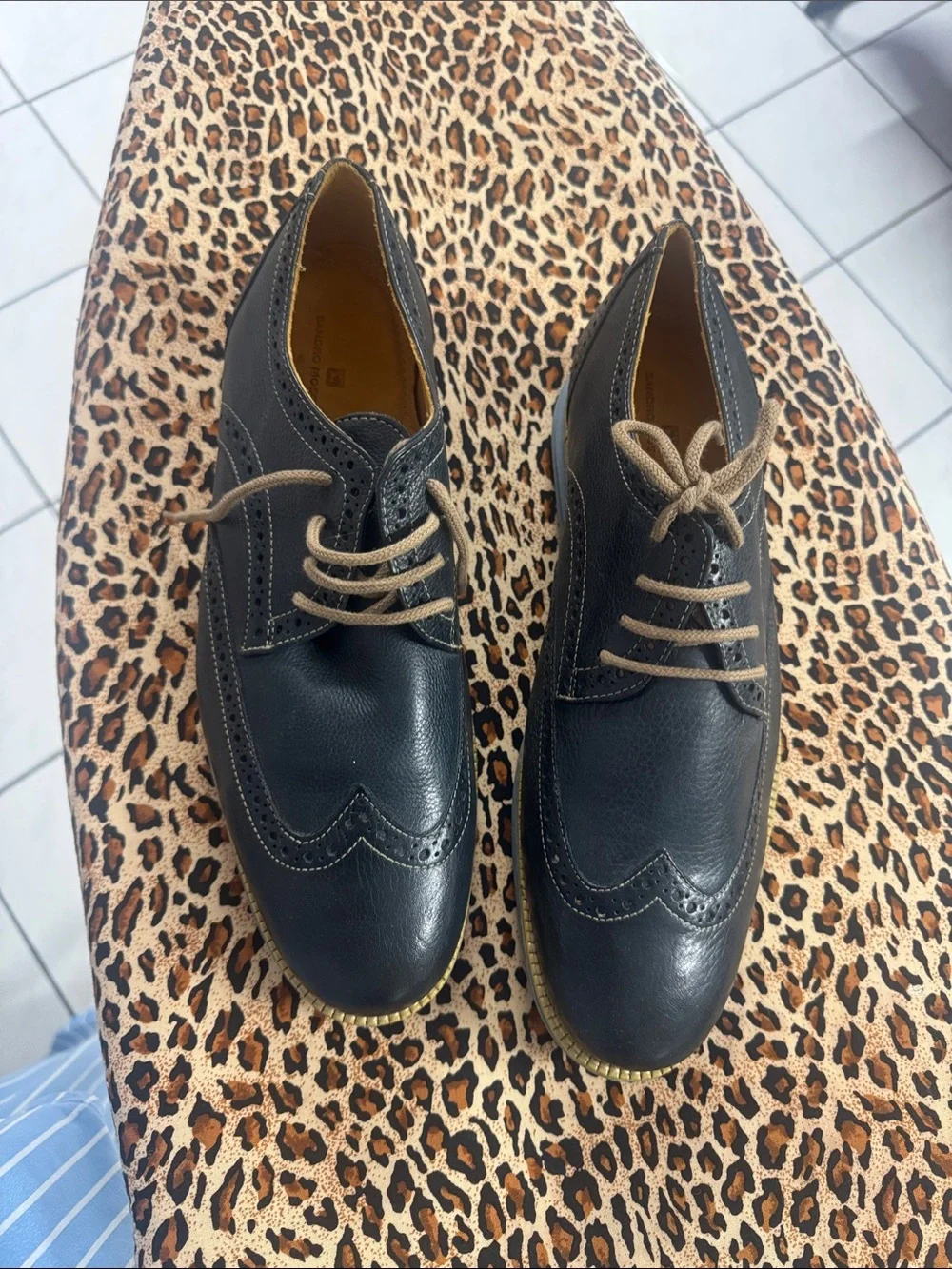 Sandro Moscoloni Black Leather Wingtip Oxfords with Tan Laces